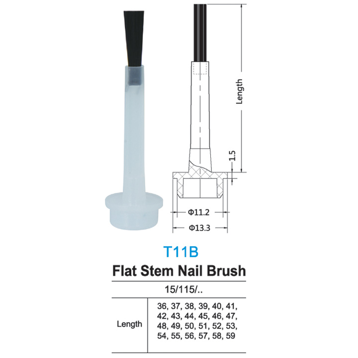 t11b